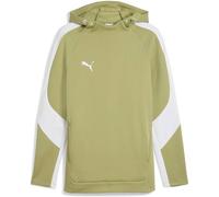 PUMA Herren Kapuzensweat teamEVOSTRIPE Hoody (659954) XL Calming Green-PUMA Silver-PUMA White