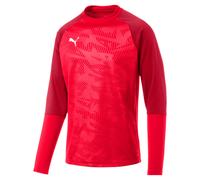 Puma Herren Pullover Cup Training Sweat Core 656021-01 S Puma Red-Chili Pepper