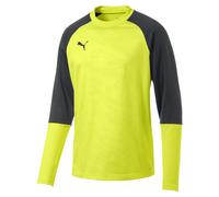 Puma Herren Pullover Cup Training Sweat Core 656021-16 M Fizzy Yellow-Asphalt