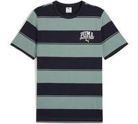 PUMA Unisex Class Stripe AOP Tee T-Shirts, Green Moon,