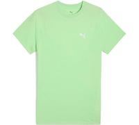 Puma Unisex Evostripe Tee T-Shirts, Spring Fern, L EU