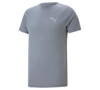 Puma Herren T-Shirt EVOSTRIPE Tee 673311-69 M Gray Tile