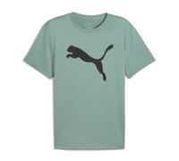 Puma Herren T-Shirt TAD ESSENTIALS Solid Cat Tee 525921-30 XXL Green Moon