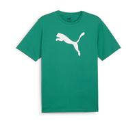 Puma Herren T-Shirt teamRISE Logo Jersey Cotton 658705-05 XXL Sport Green-PUMA White