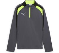 Puma IndividualLIGA 1/4 Zip Kinder Sweatshirt, grau 128