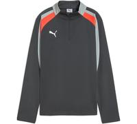 Puma IndividualLIGA 1/4 Zip Kinder Sweatshirt, grau 128