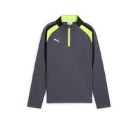 PUMA Individualliga 1/4 Zip Sweatshirt Kids grau, 152 Kinder