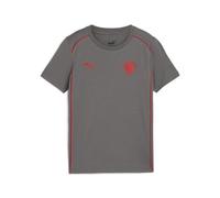 PUMA Jugendliche FC St. Pauli Casuals T-Shirt 164 Flat Medium Gray Red ?Fußball-T-Shirt mit Rundhalsausschnitt Unisex Teenager