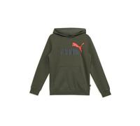 ESS+ 2 Col Big Logo Hoodie FL B DARK OLIVE 128 DARK OLIVE