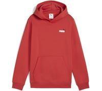 Puma Jungen ESS 2 Color Small No. 1 Logo Hoodie FL B Kapuzenpullover (1er Pack)
