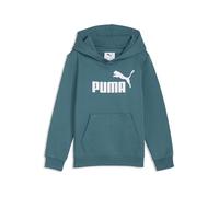 Kapuzensweatshirt PUMA "ESS NO. 1 LOGO HOODIE FL PS", Jungen, Gr. 116, emerald ice, Fleece, Obermaterial: 66% Baumwolle, 34% Polyester, bedruckt, regular fit normal, angesetztes Bündchen, Sweatshirts,