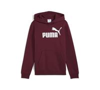PUMA Jungen ESS No. 1 Logo Fleece-Hoodie 140, Ruby Shimmer Red