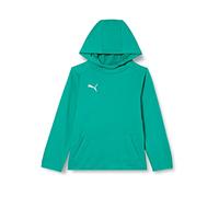 PUMA Jungen LIGA Casuals Hoody Jr Hoodie, Pepper Green White, 176