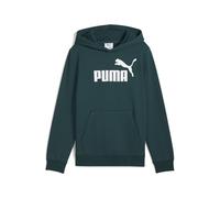 Puma Jungen No. 1 Logo Hoodie FL B Sweatshirt, Green Terrain, 128 EU