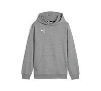Puma Jungen Teamgoal Casuals Hoody Jr Pullover, Medium Gray Heather-Puma White, 116 EU
