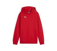 Puma Teamgoal Casuals Hoody Jr Hoody rot 140