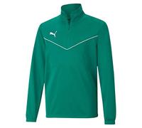 PUMA Jungen Teamrise 1/4 Zip Top Jr Sweatshirt, Pepper Green-puma White, 140 EU