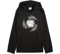 Puma Active Sports Graphic Kapuzenpullover