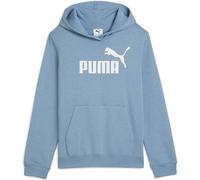 PUMA Kinder Kapuzensweat ESS No. 1 Logo Hoodie FL G (684896) 176 Grau