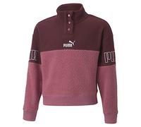 PUMA Kinder Sweatshirt Puma Power Winterized Half (670209) 140 DUSTY ORCHID