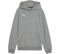 Puma teamGOAL Casuals Hoodie Kinder - grau - 116