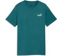 Puma Essentials 2 Color Small No. 1 Logo Tee B emerald ice (41) 176