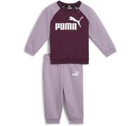 PUMA Kinder Sportanzug Minicats ESS Raglan Jogger (846143) 68 Lila