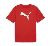 Puma Kinder T-Shirt teamRISE Logo Jersey Cotton Jr 658707-01 128 PUMA Red-PUMA White