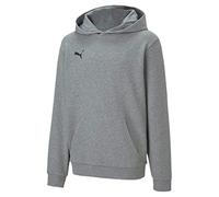Puma teamGOAL 23 Casuals Hoodie Kinder - grau -116