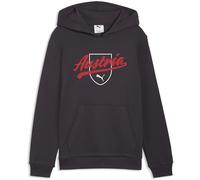 Puma Österreich Ftblculture Kinder Kapuzensweater, grau 152