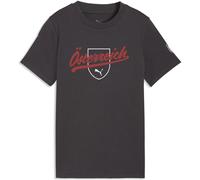 Puma Österreich Ftblculture Kinder T-Shirt, grau 176