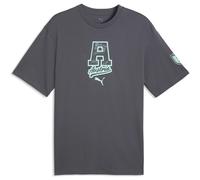 Puma Österreich Ftblculture Relaxed Herren T-Shirt, grau M