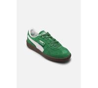 Puma Select Palermo Sportschuhe EU 38 Archive Green / PUMA White