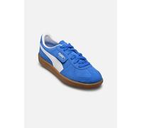 Puma Sneaker Palermo Junior elektrisch-blau/weiß Größe 36