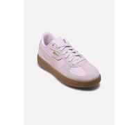 Puma - Palermo Lamoda Jr - lila - Sneaker - Größe 38