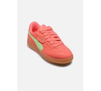 Puma Palermo Moda Xtra Gum Sneakers Damen Schuhe | Mit Colorful | Peach Frost/Spring Fern | Größe: 37 Red