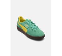 Puma - Palermo M - Grün - Sneaker - Größe 45
