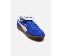 Puma - Palermo Premium Suede M - blau - Sneaker - Größe 42