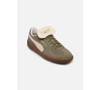 Puma - Palermo Premium Suede M - grün - Sneaker - Größe 43