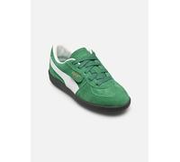 Puma - Palermo Ps - Grün - Sneaker - Größe 34