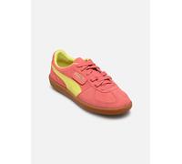 PUMA - Palermo - - Sport - Herren - Orange - 37 EU