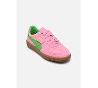 Puma - Palermo Special Wns - rosa - Sneaker - Größe 42 1/2