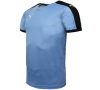 Puma Pitch kurzärmeliges Hemd Training Fitnessstudio T -Shirt Blue - Herren S