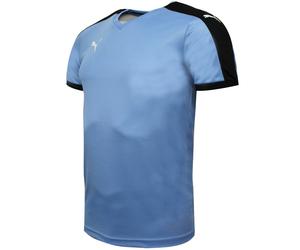 Puma Pitch kurzärmeliges Hemd Training Fitnessstudio T -Shirt Blue - Herren S