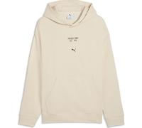 Puma PL Graphic Hoodie alpine snow (09) XXL