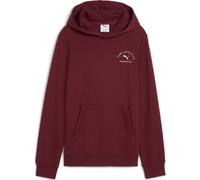 Puma Puma Class Graphic Hoodie TR B ruby shimmer (96) 152