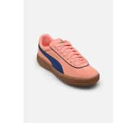 PUMA Sneaker Club Klassika SD Wildleder Damen Pink Fruit-Blazing Blue PUMA Gold Größe 42