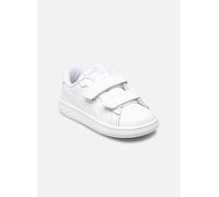 PUMA 392034_02_25 Sportschuh