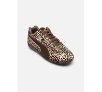 PUMA Speedcat Wild Sneakers Damen, Schuhe, Braun, 38 Brown