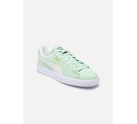 Puma - Suede Classic Xxi M - Grün - Sneaker - Größe 40